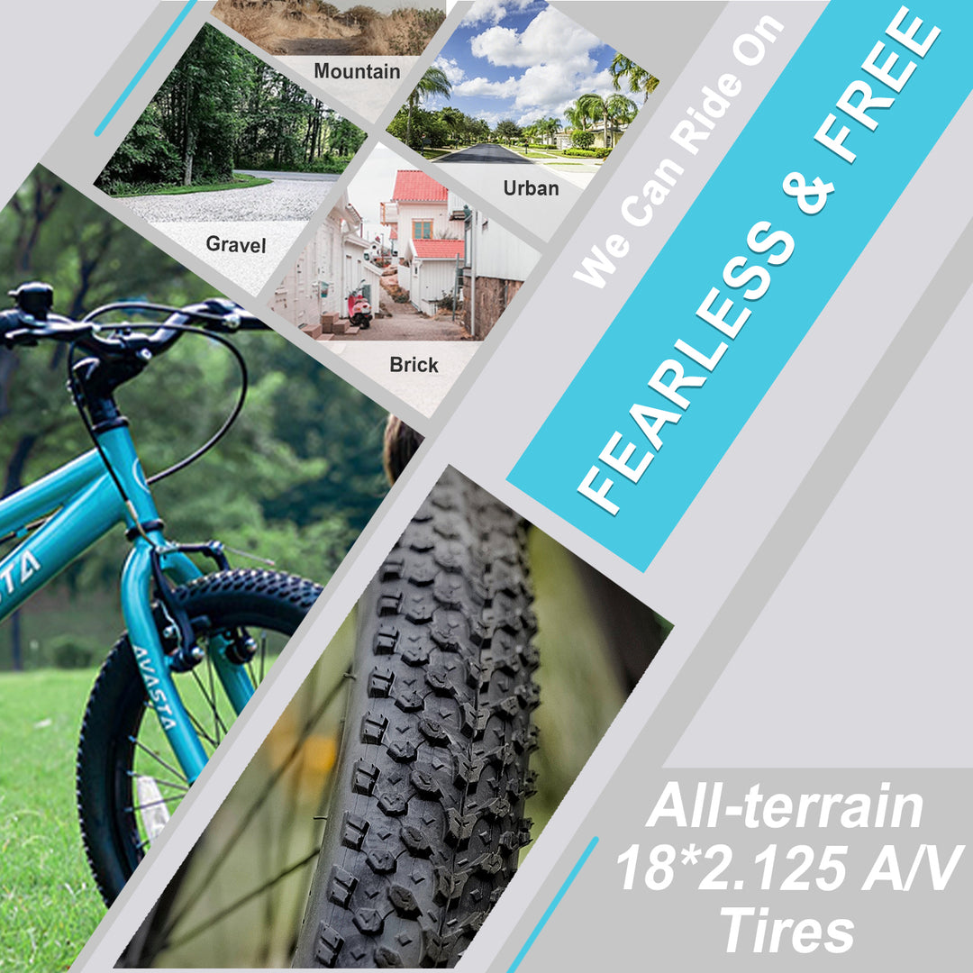 AVASTA 20 inch Kids Bike - Bilbo