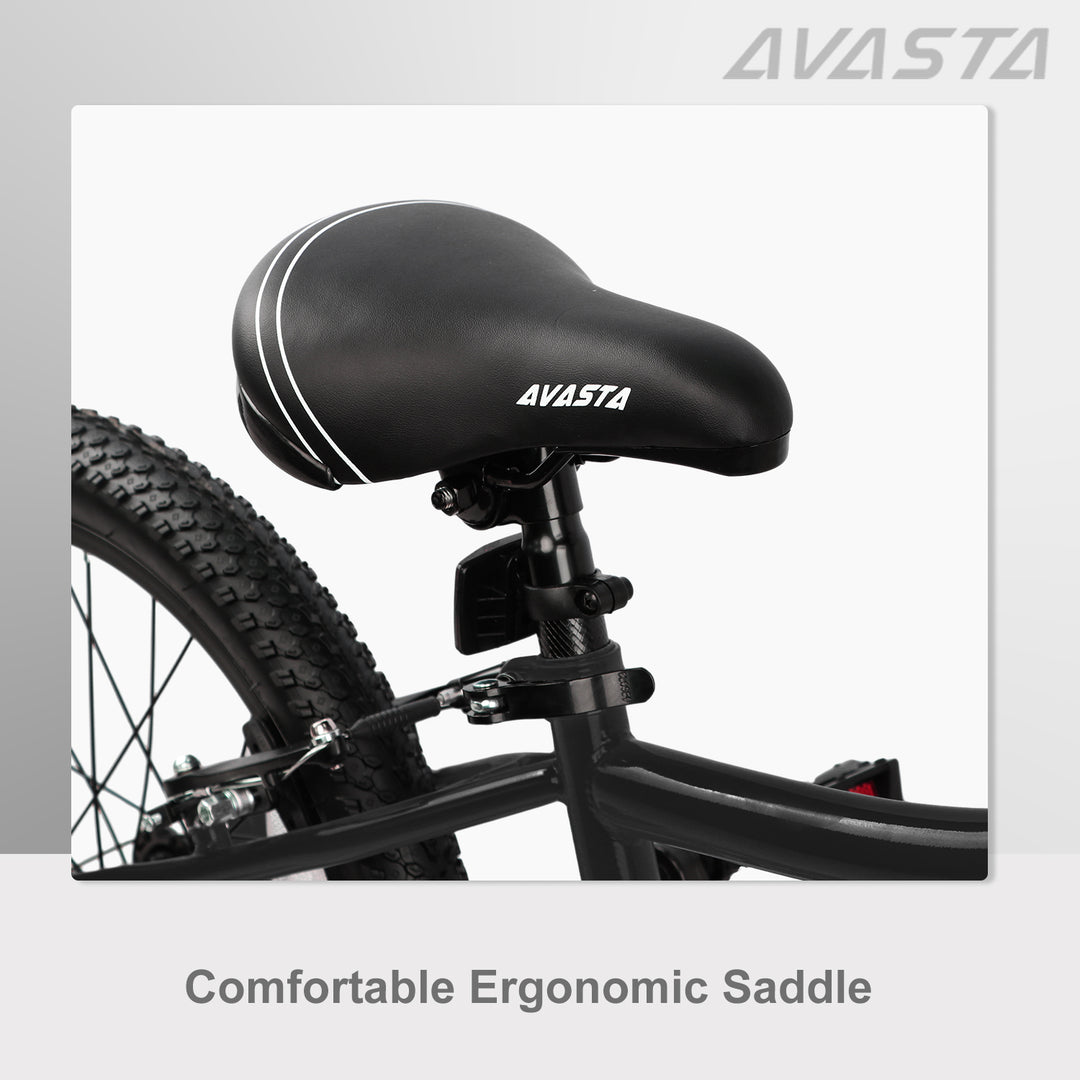 AVASTA 20 inch Kids Bike - Bilbo