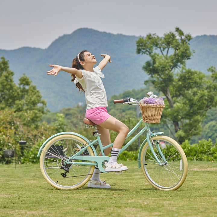 Glerc 26 Inch Retro Style Hybrid Bike(with Rear Rack) - Missy