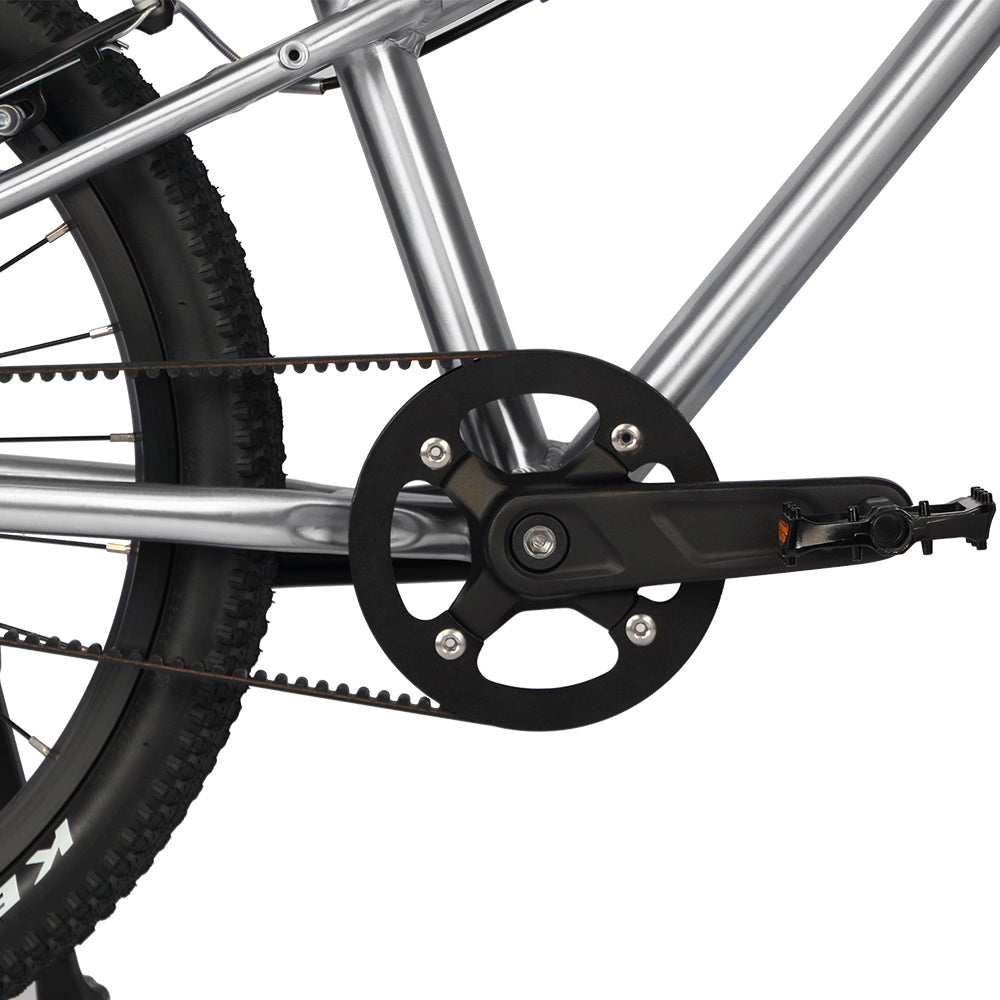 Glerc 18" Belt Drive Bike - Nova
