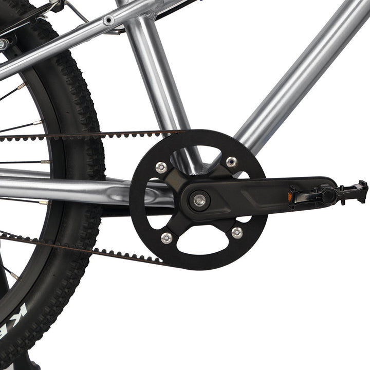 Glerc 18" Belt Drive Bike - Nova