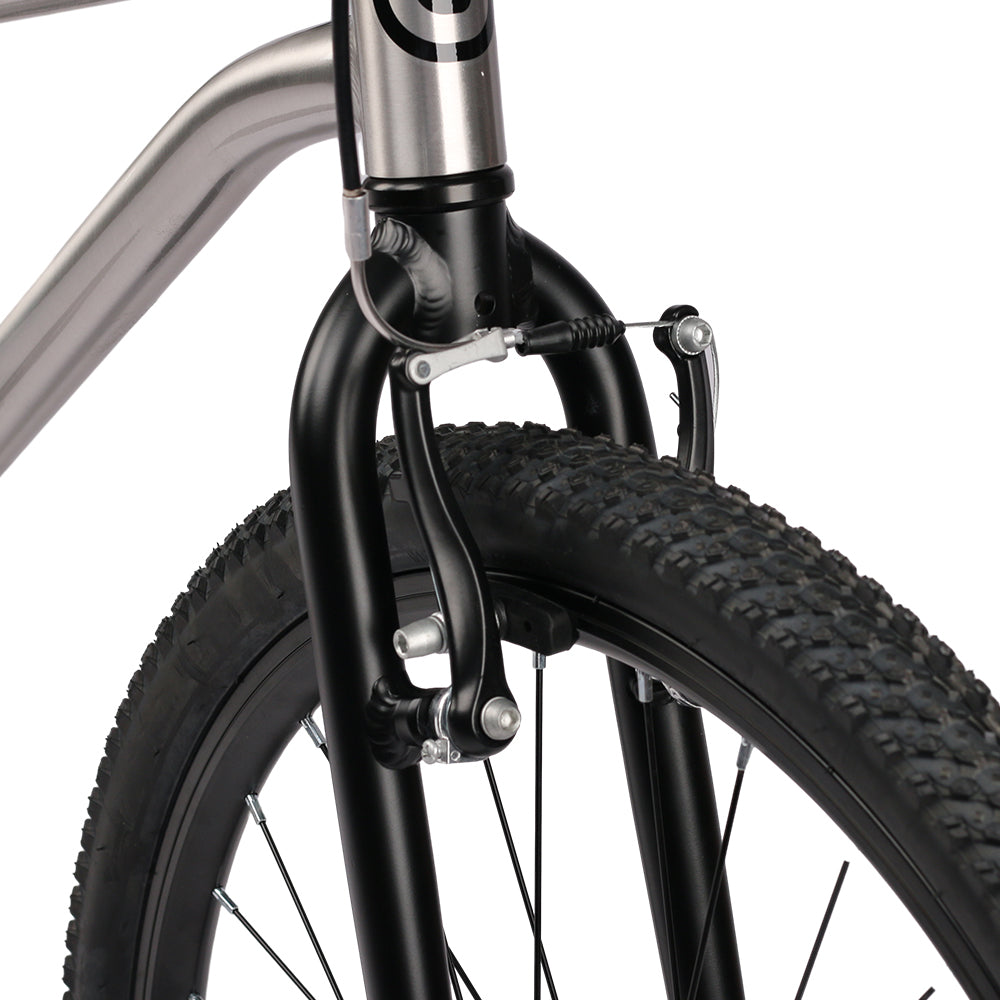 Glerc 20" Belt Drive Bike - Nova