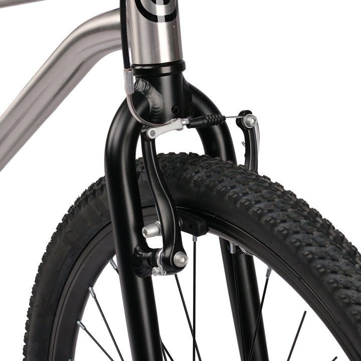 Glerc 24" Belt Drive Bike - Nova