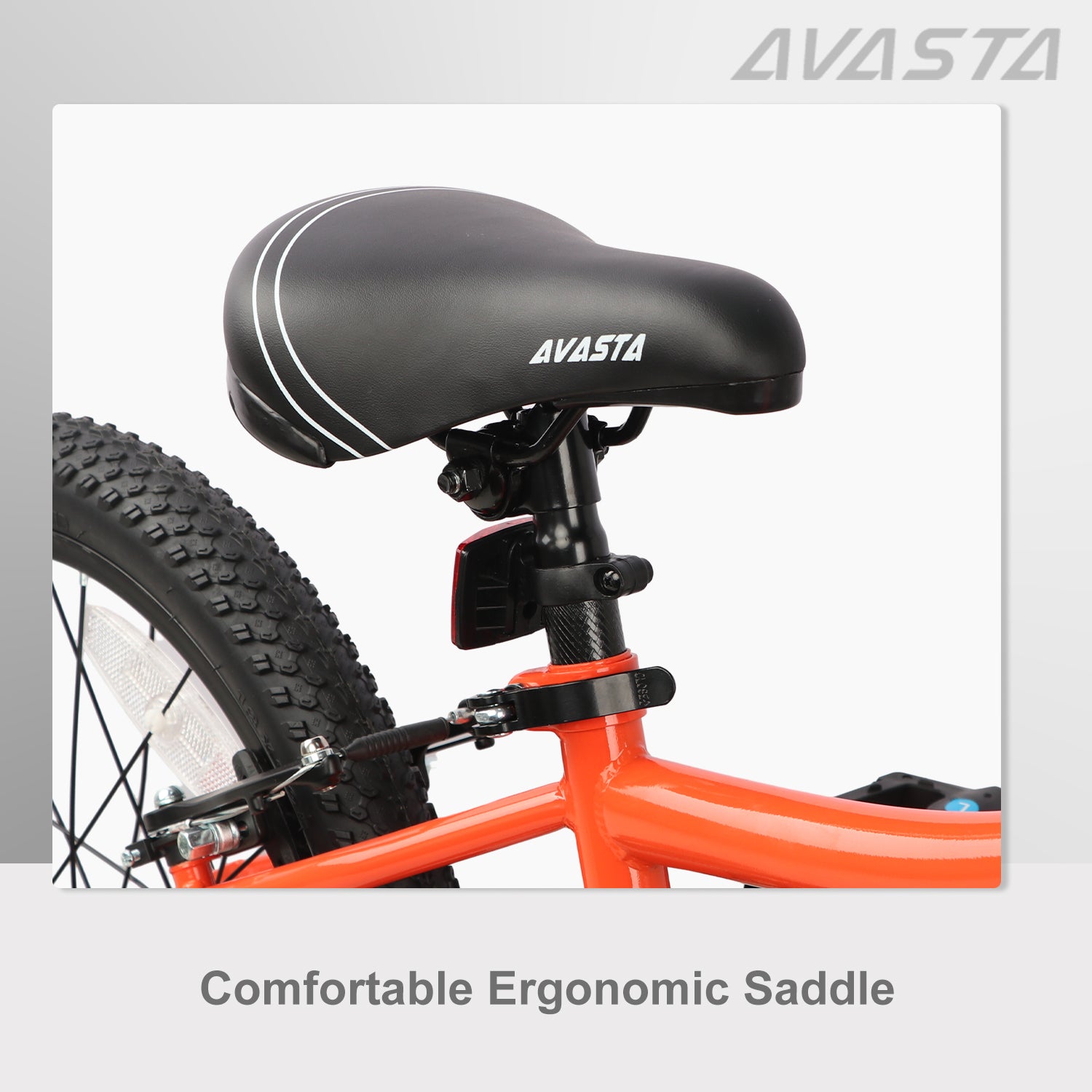 AVASTA 20 inch Kids Bike - Bilbo