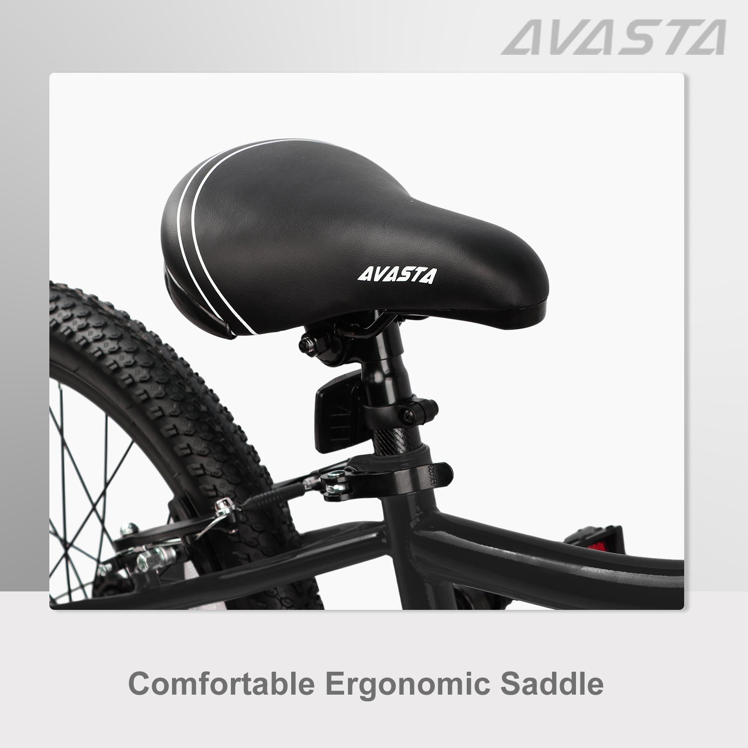 AVASTA 20 inch Kids Bike - Bilbo