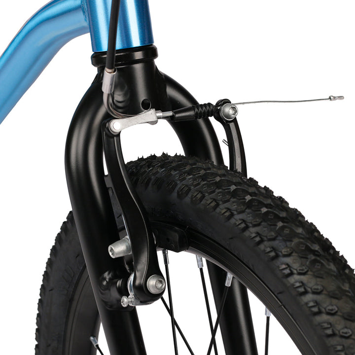 Glerc 24" Belt Drive Bike - Nova