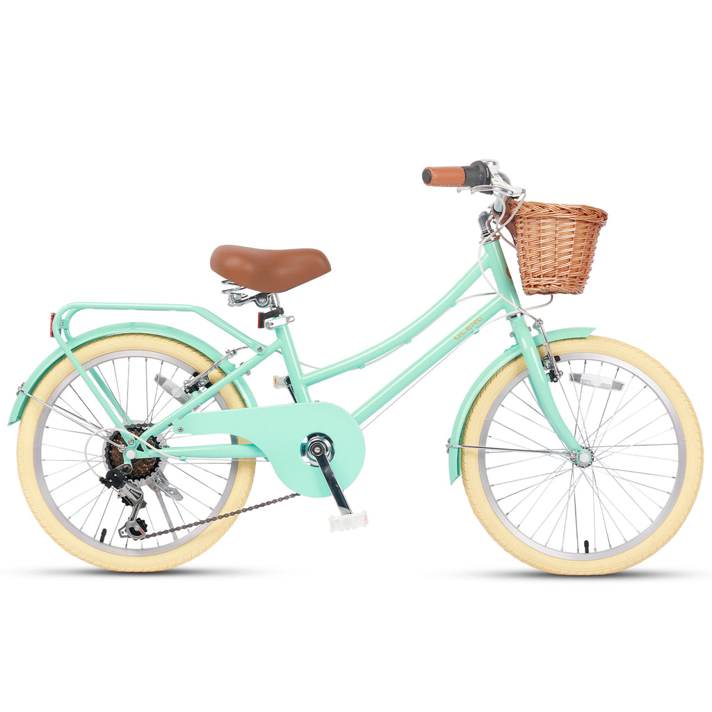 20 Inch Beach Cruiser Hybrid Bike Rear Rack Missy