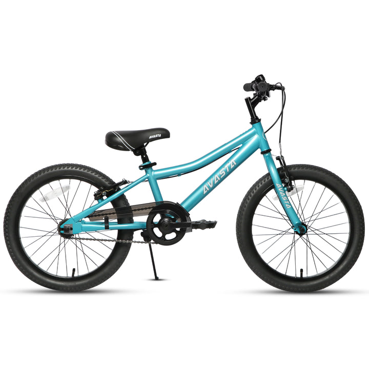 AVASTA Bilbo 20 inch Kids Bike