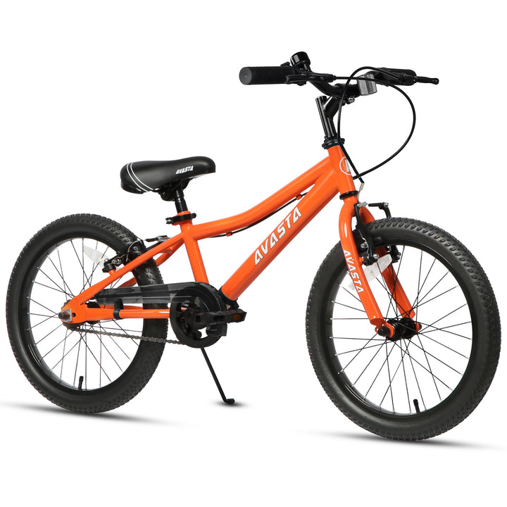 AVASTA Bilbo 20 inch Kids Bike