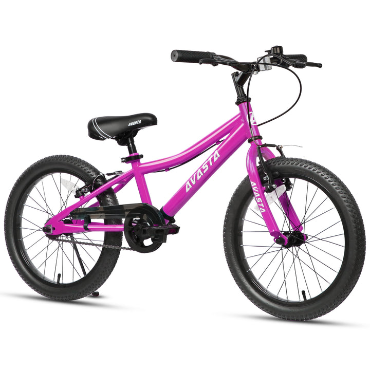 AVASTA Bilbo 20 inch Kids Bike